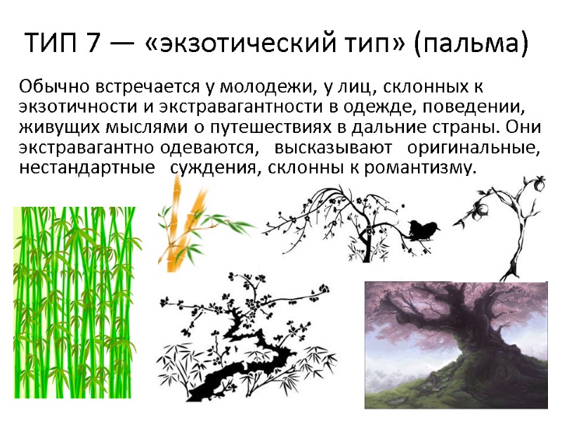 ТИП 7 — «экзотический тип» (пальма)  Обычно встречается у молодежи, у лиц, склонных